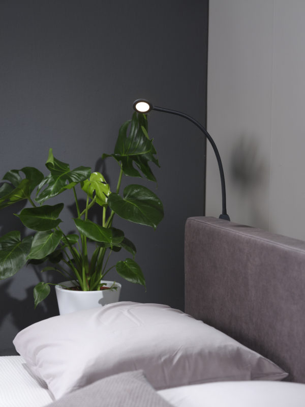 Bedlamp Express